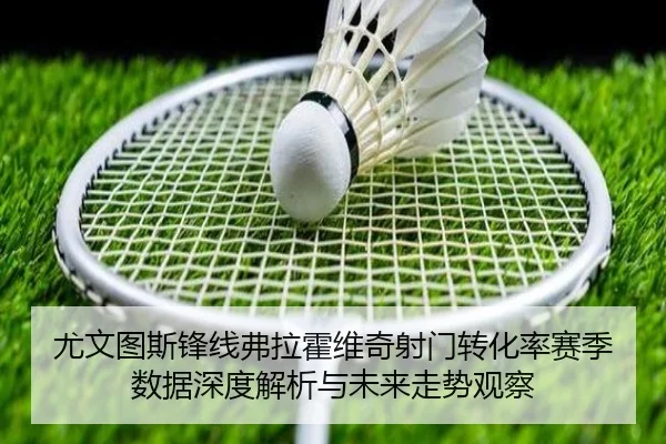 尤文图斯锋线弗拉霍维奇射门转化率赛季数据深度解析与未来走势观察