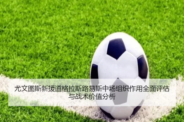 尤文图斯新援道格拉斯路易斯中场组织作用全面评估与战术价值分析