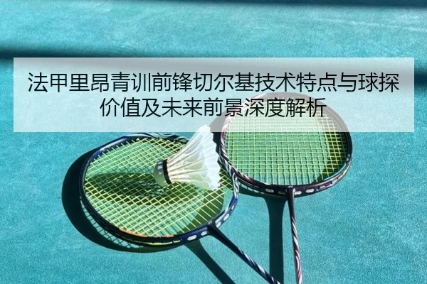 法甲里昂青训前锋切尔基技术特点与球探价值及未来前景深度解析